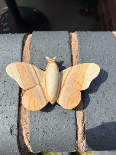 Butterfly - Neil Spence
